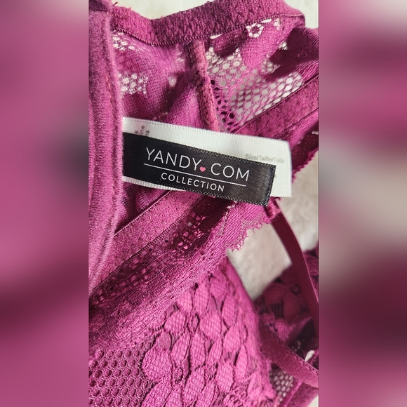 NWOT Yandy Burgundy high neck lace bra - Picture 2 of 12
